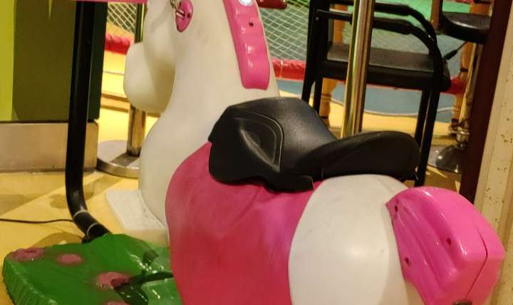 Joy Horse